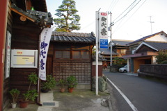 IMGP3355