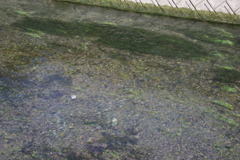 IMGP3289