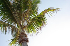 IMGP0503