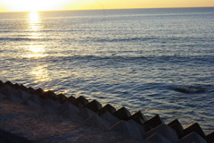 IMGP0704