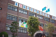 IMGP2508