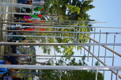 IMGP2420