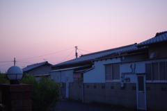 IMGP2409