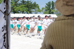 IMGP2550