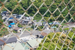 IMGP2456