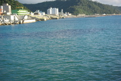 IMGP0695