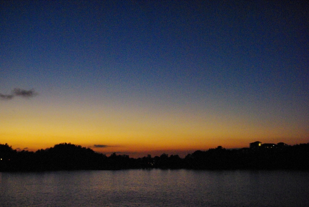 IMGP0730