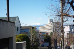 IMGP3169
