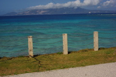 IMGP0306
