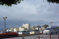 IMGP1019