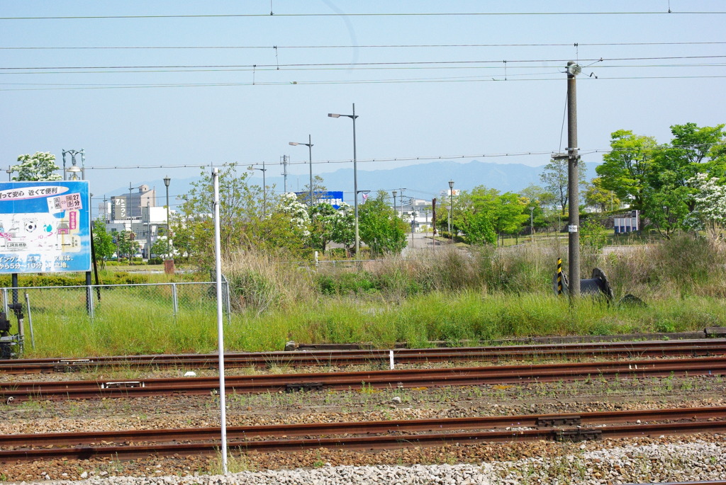 IMGP2598