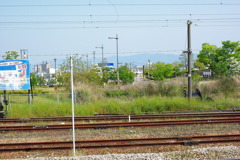 IMGP2598