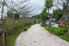 IMGP1186