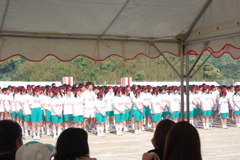 IMGP2433