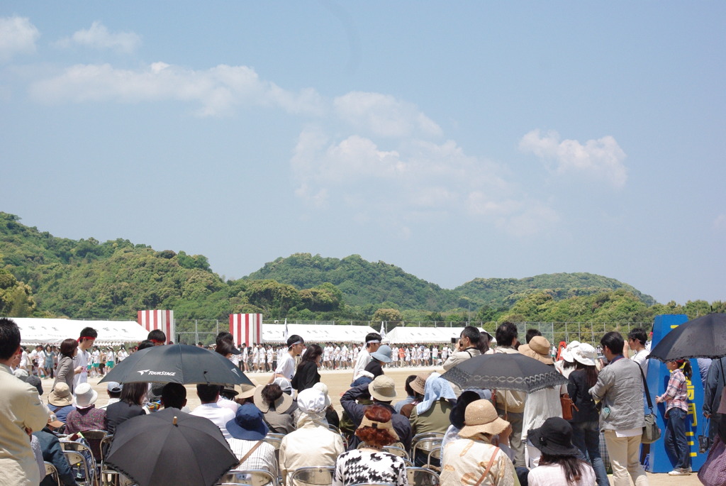IMGP2530