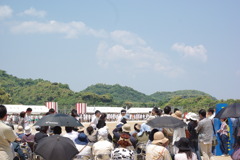 IMGP2530