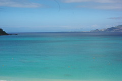 IMGP0911