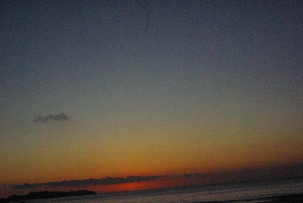 IMGP0728