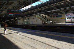 IMGP3177