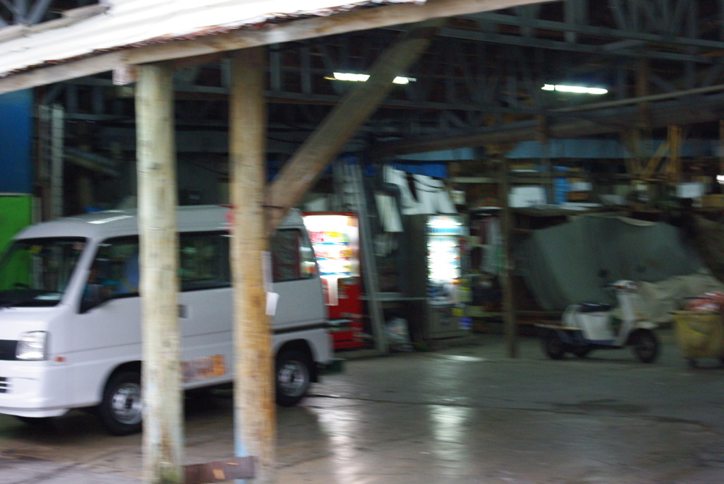 IMGP1045