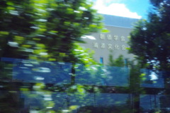 IMGP0994