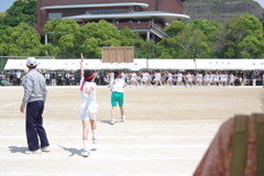 IMGP2547