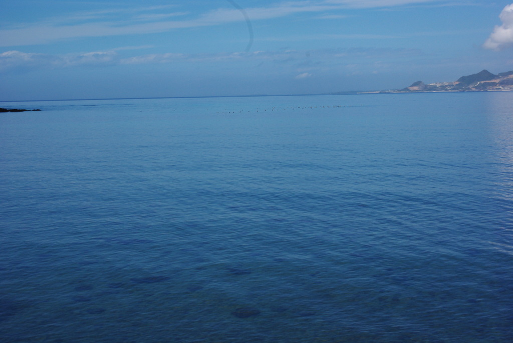 IMGP0598