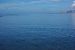 IMGP0598