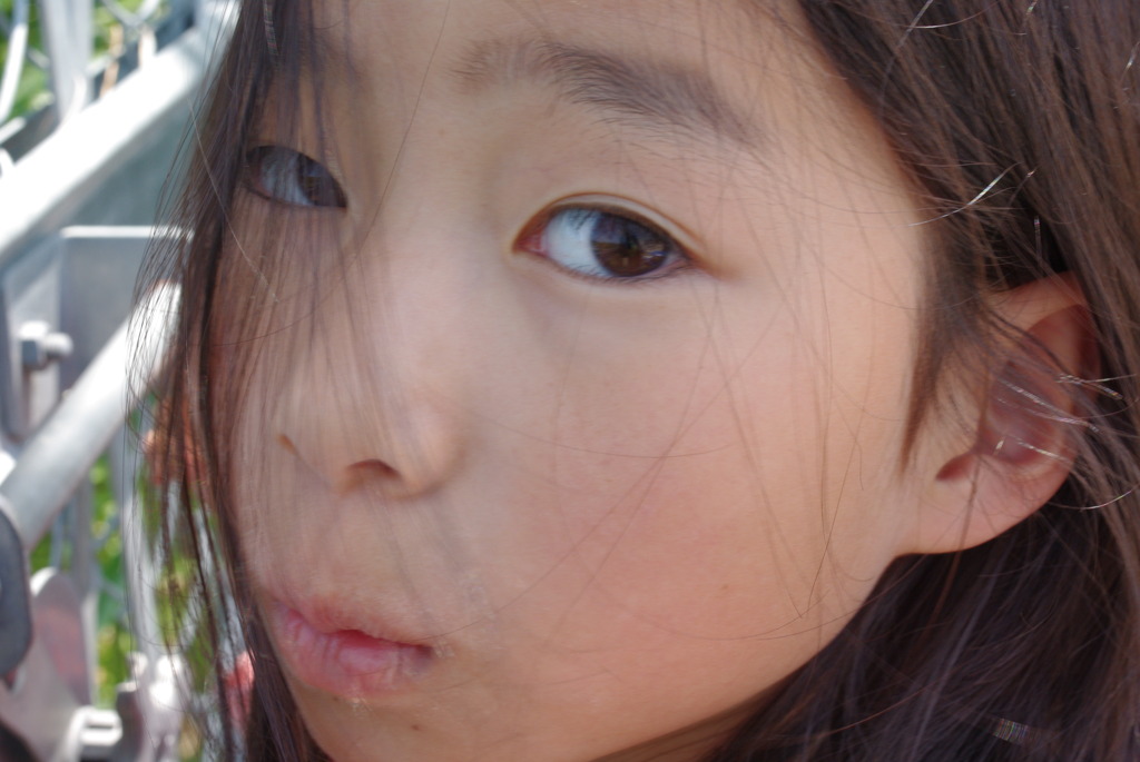 IMGP2491