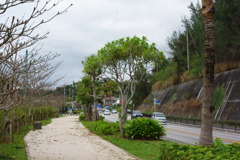 IMGP1185