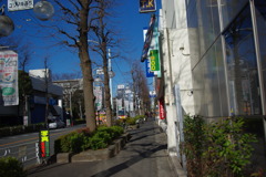 IMGP3186