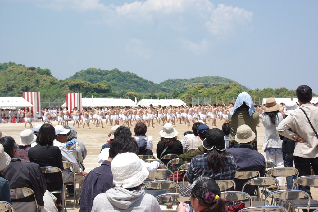 IMGP2542