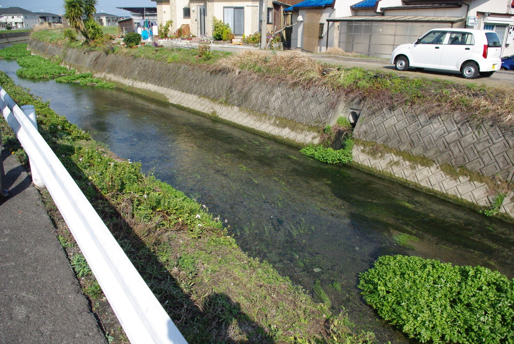 IMGP3288