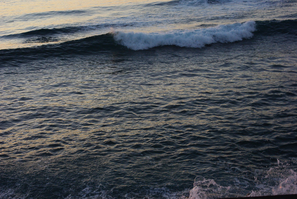 IMGP0714