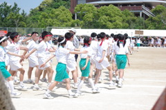 IMGP2549