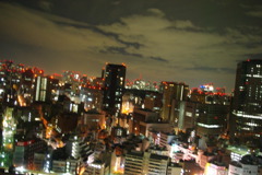 IMGP3272