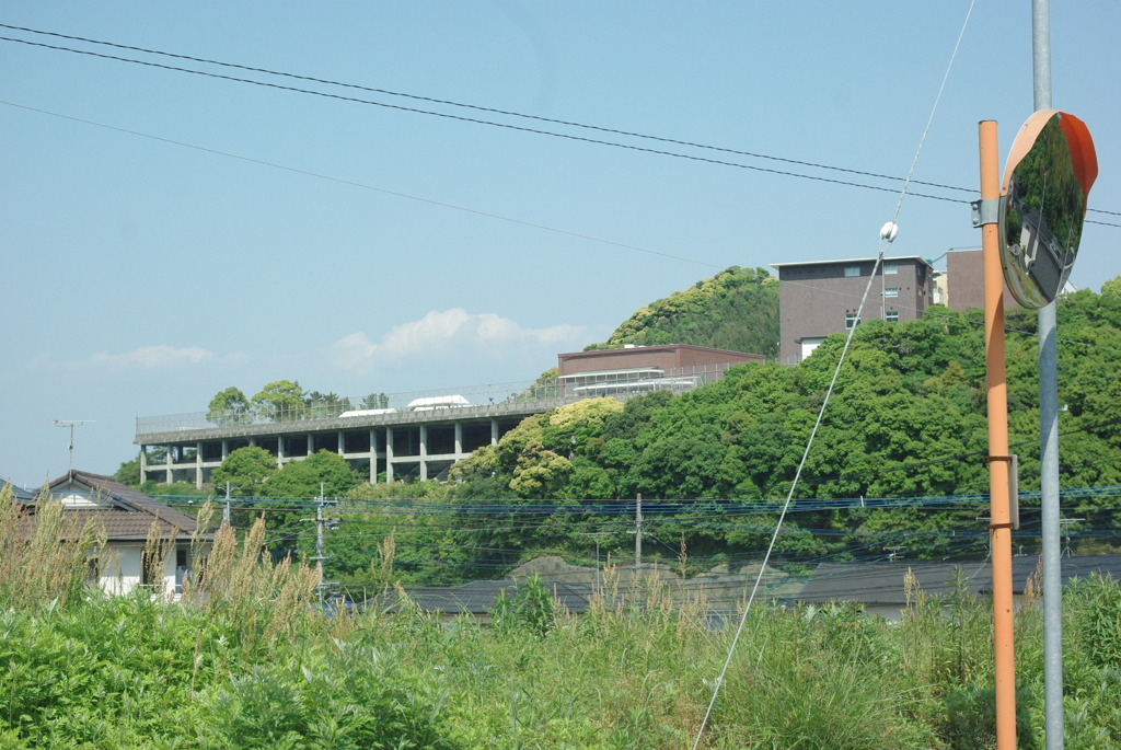 IMGP2574