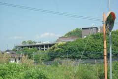 IMGP2574