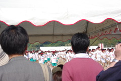 IMGP2440