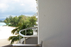 IMGP0923