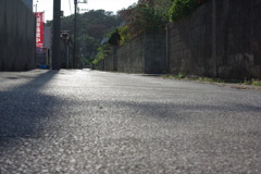 IMGP0465