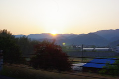 IMGP2415