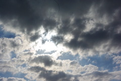 IMGP0664