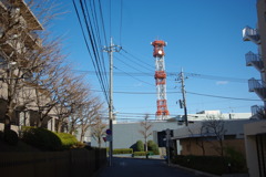 IMGP3166