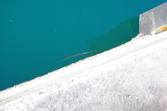 IMGP0677