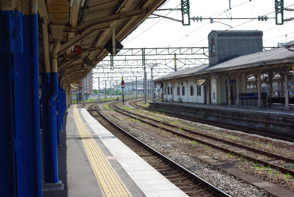 IMGP2597