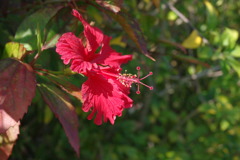 IMGP0449