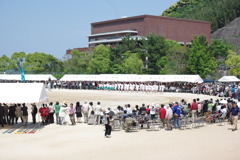 IMGP2554