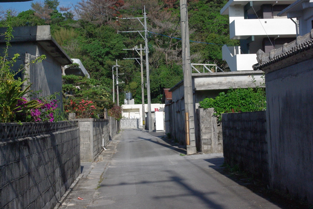 IMGP0459