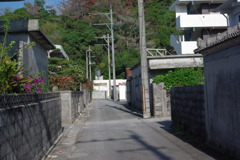 IMGP0459